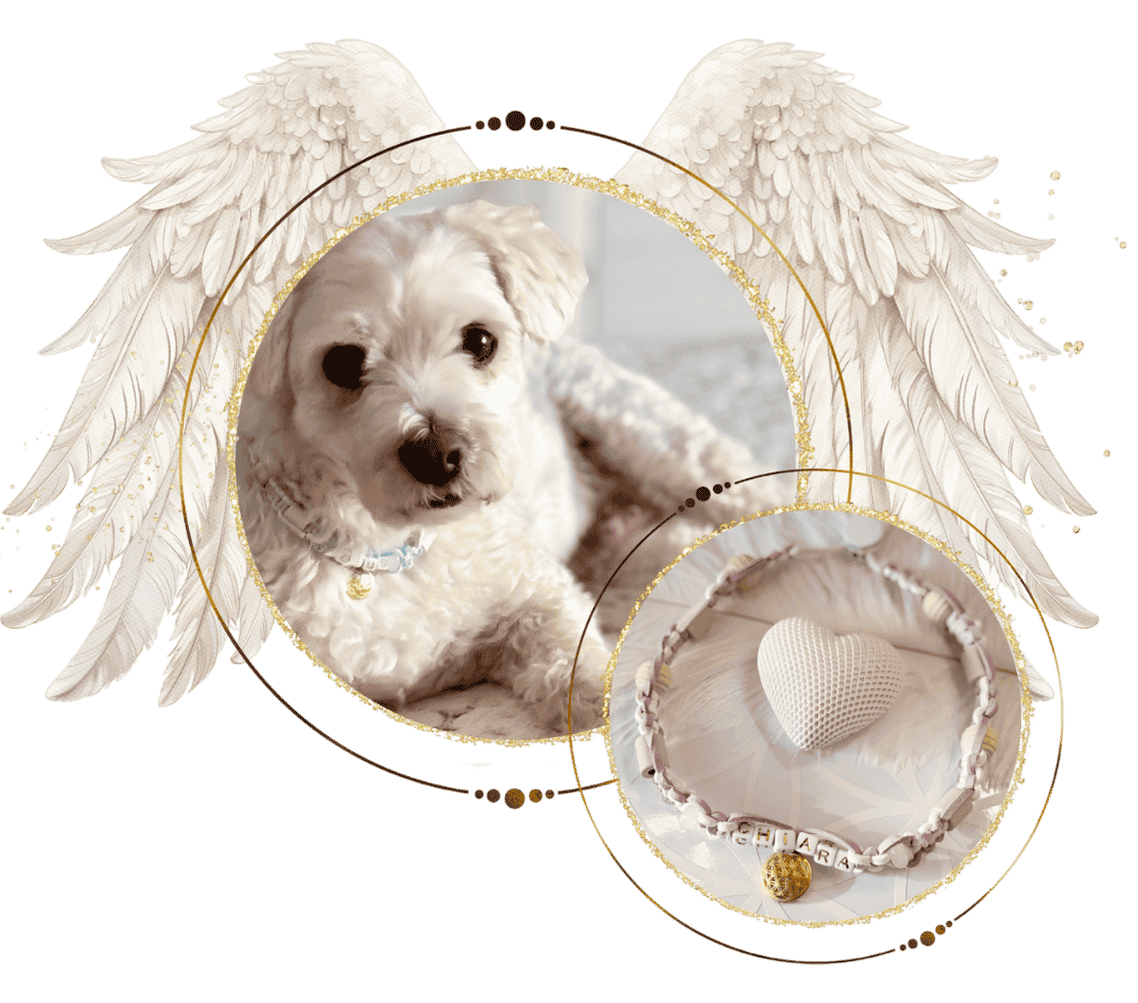 Lashana 2 Testen 27 e1748519729219