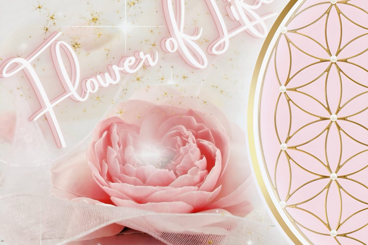 Kerzen mit der Blume des Lebens Neu