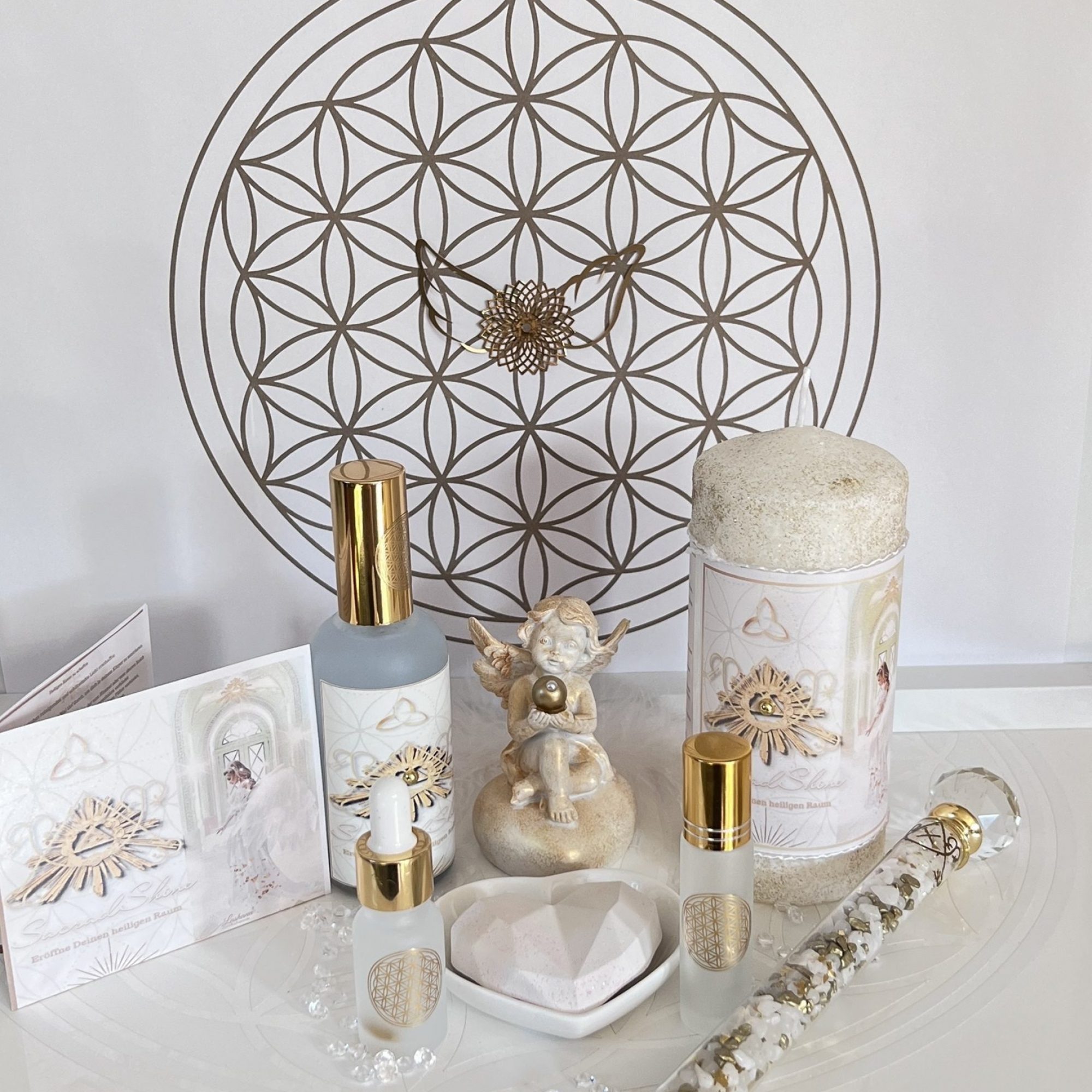 neues-bild-fuer-website-01