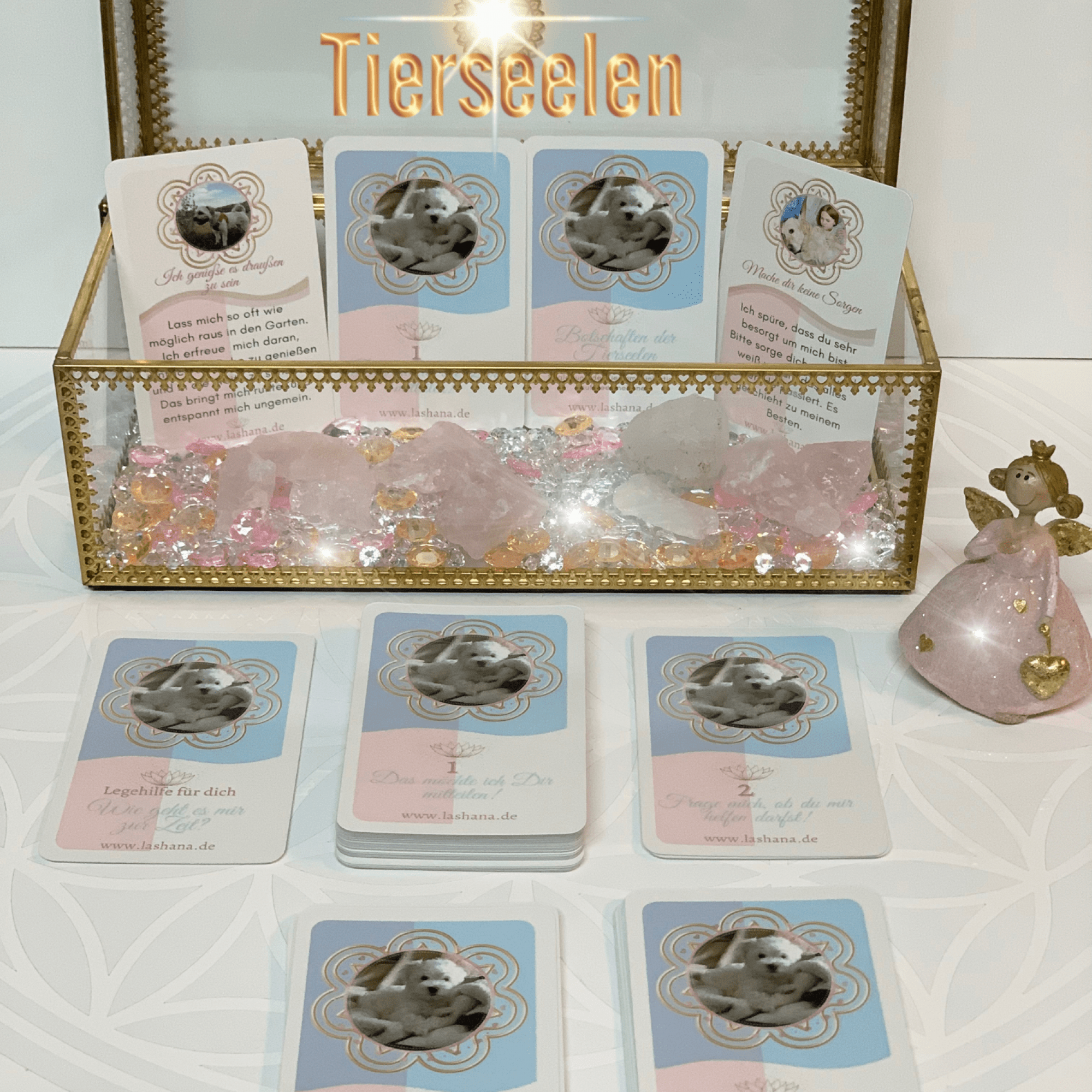 tierheilkommunikation-kartendeck