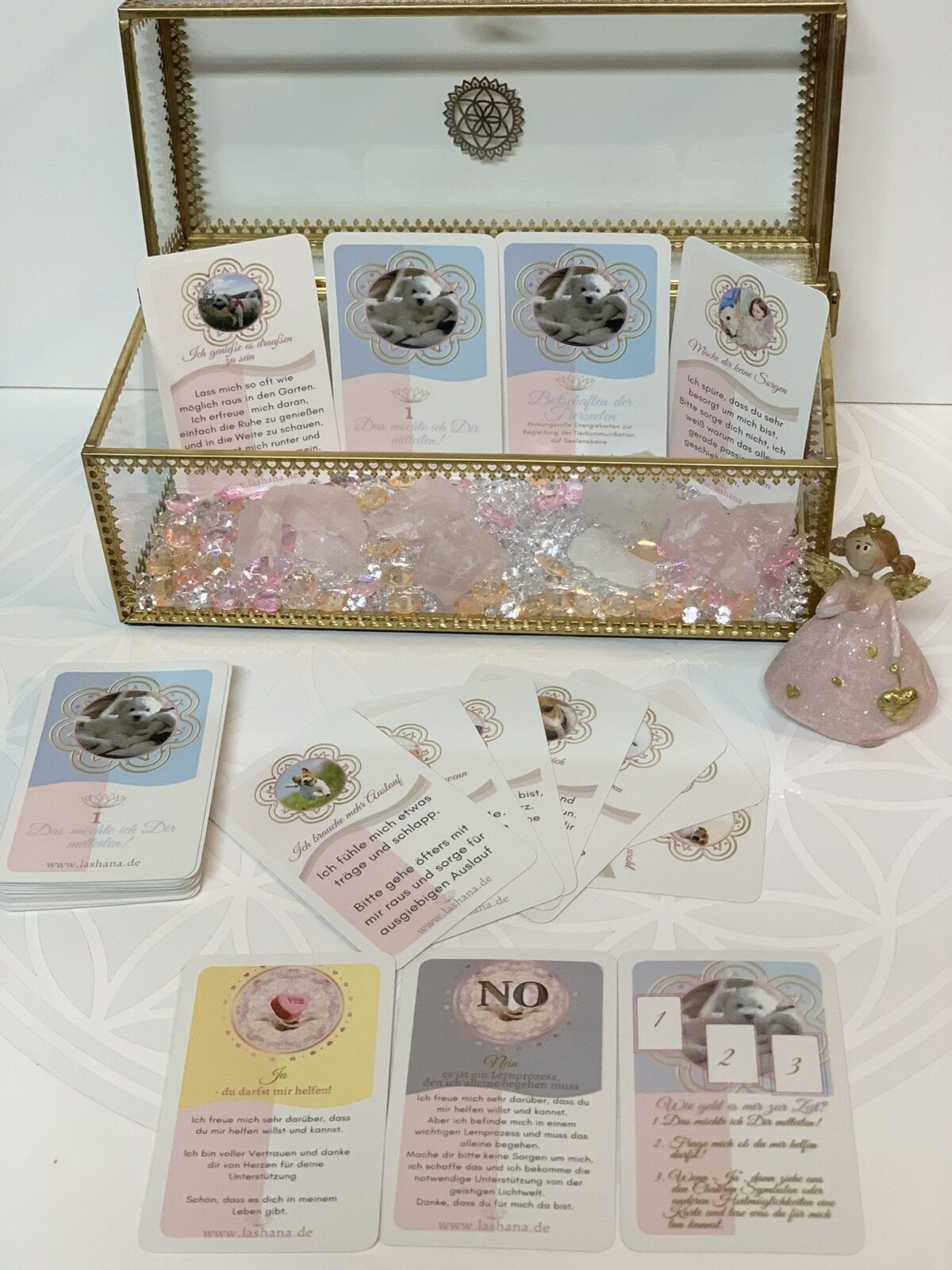 Tierheilkommunikartions-Kartendeck : "Botschaften der Tierseelen" – Bild 2