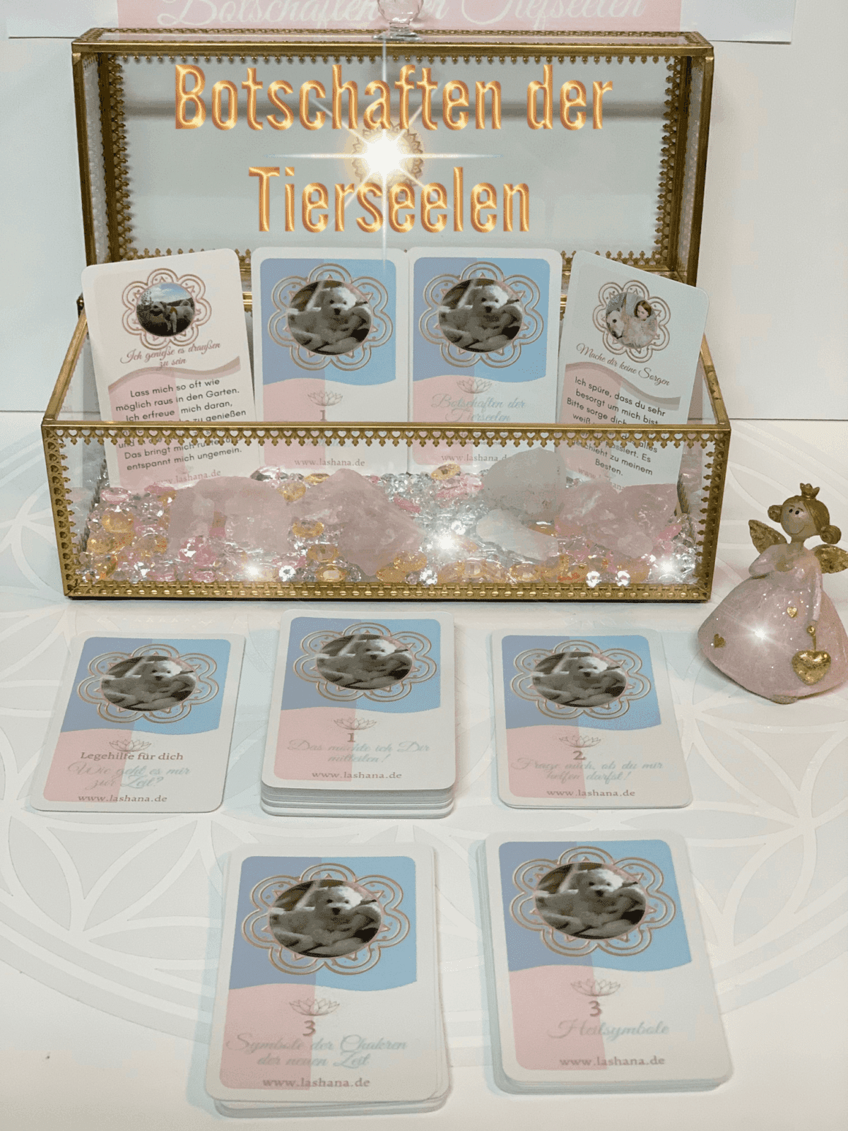 Tierheilkommunikartions-Kartendeck : "Botschaften der Tierseelen"