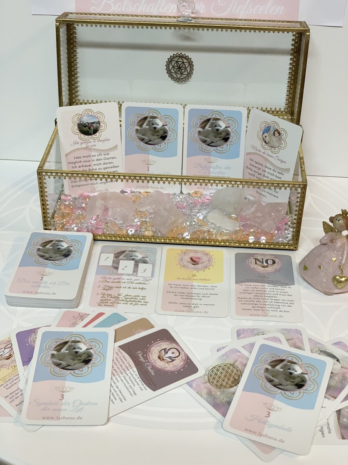 Tierheilkommunikartions-Kartendeck : "Botschaften der Tierseelen" – Bild 3